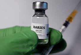rabies vaccine