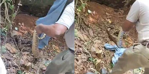 python
