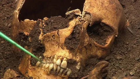 skeleton