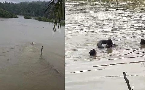 rescue