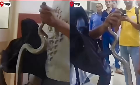 കടിച്ച പാമ്പിനെ ബാഗിലാക്കി ആശുപത്രിയിലെത്തി യുവാവ്; ഭയന്ന് വിറച്ച് ജീവനക്കാർ, തിരിഞ്ഞോടി രോഗികൾ... ഞെട്ടിക്കുന്ന ദൃശ്യങ്ങൾ കാണാം, വീഡിയോ | snake