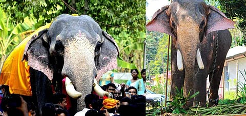 gajarajan manikandan