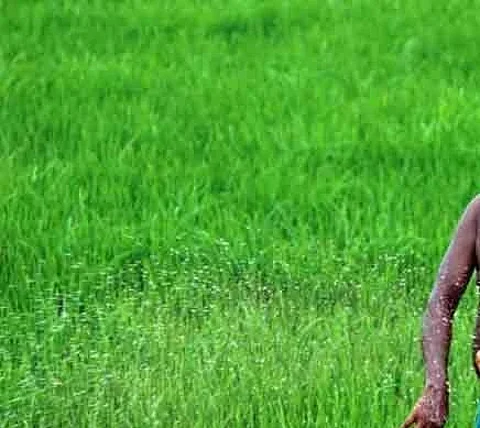 Cabinet clears PM Dhan-Dhaanya Krishi Yojana with annual outlay of Rs 24,000 cr