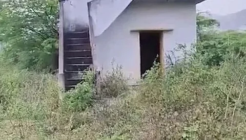 crime