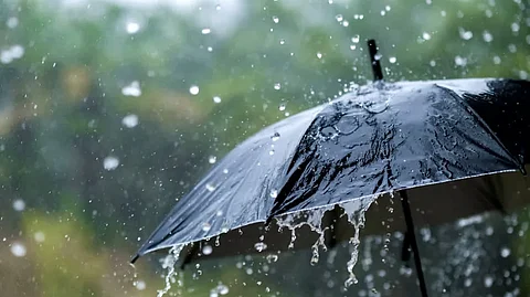 rain alert