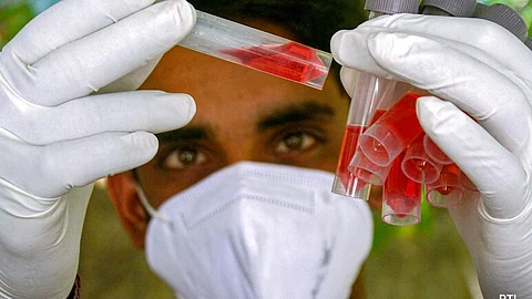 nipha virus