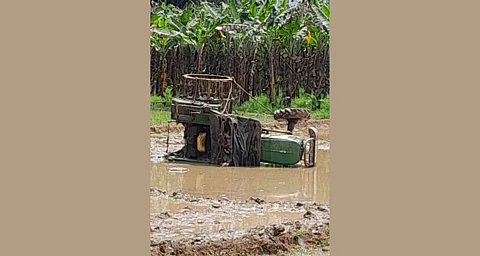 Puthupaddy government seed farm