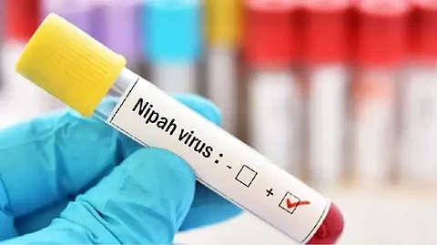 nipah case