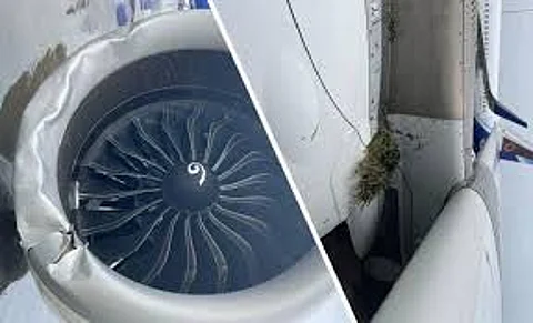 Air India