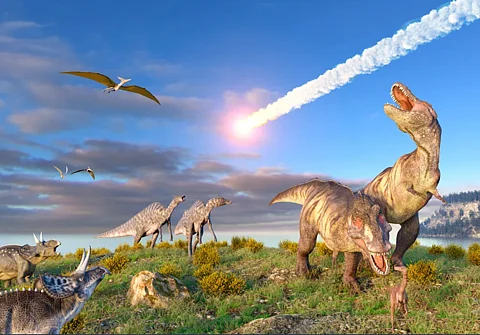 Know why species become extinct