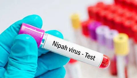 Nipah