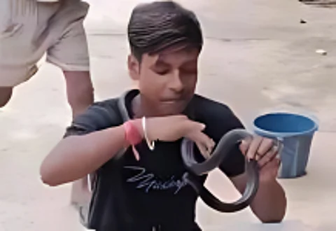 Naga Panchami celebration