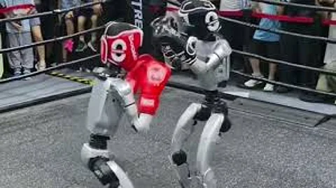 robots boxing