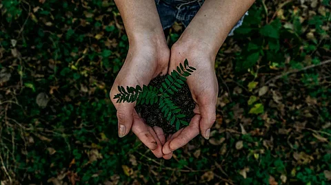 Green Kerala Mission