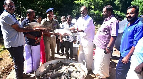 നെട്ടുകാൽത്തേരി തുറന്ന ജയിലിൽ 2000 കിലോയുടെ മത്സ്യ വിളവെടുപ്പ്