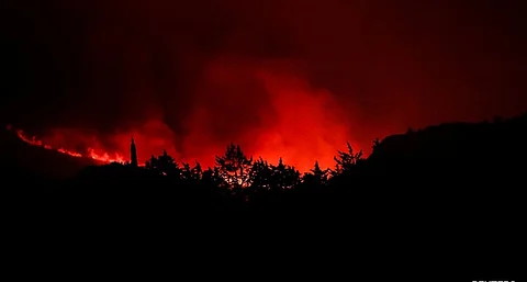 forest fire