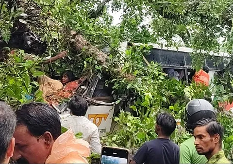 ബരാബങ്കിയിൽ സർക്കാർ ബസിനു മുകളിൽ മരം വീണു: 5 ജീവനുകൾ പൊലിഞ്ഞു, വീഡിയോ | bus