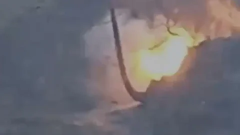 terrorists