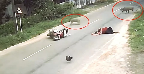 two-wheeler accident