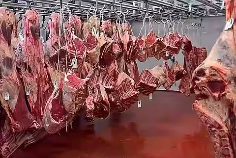 meat shops