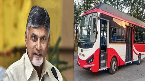 Free bus travel
