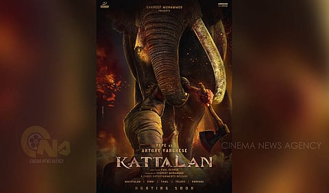 Kattalan