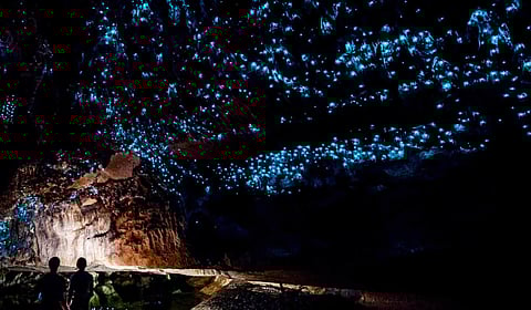 Waitomo Glowworm Cave