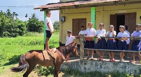 little boy going to school on horseback