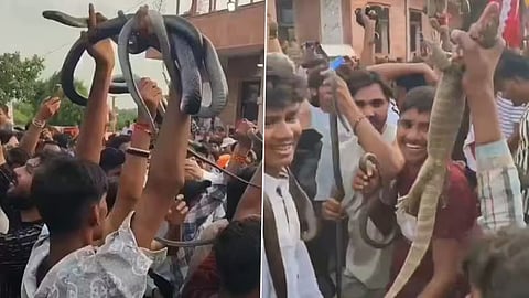 Youths dance while holding live snakes