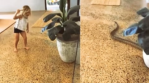 little girl chasing a giant snake