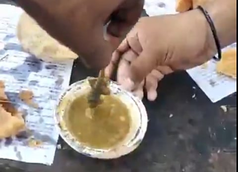Young man pulls out dead lizard