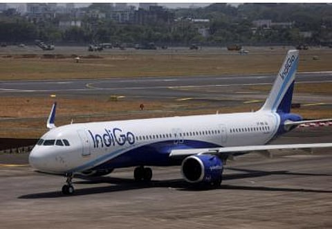 Indigo