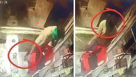 Armed assailants stormed a toll plaza