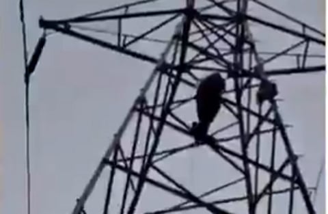 Man climbs electric tower