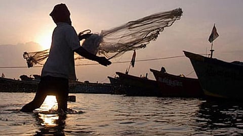 Illegal fishing