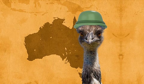The Great Emu War