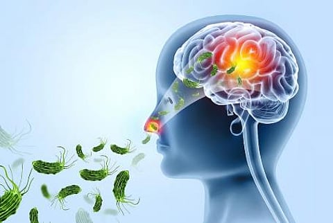 Amoebic Encephalitis