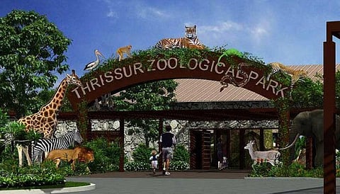 സുവോളജിക്കൽ പാർക്ക് സന്ദർശനം: രജിസ്ട്രേഷൻ ആരംഭിച്ചു