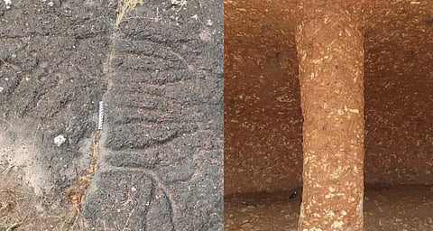 കാസർകോട് ചരിത്രത്തിന് തിളക്കം: മടിക്കൈ എരിക്കുളത്ത് പുതിയ ശിലാചിത്രങ്ങൾ കണ്ടെത്തി; 200-ൽ അധികം ചിത്രങ്ങൾ ജില്ലയിൽ നിന്ന് | New rock paintings discovered