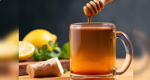 Image Credit: Google