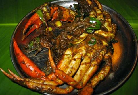 Image Credit: Google