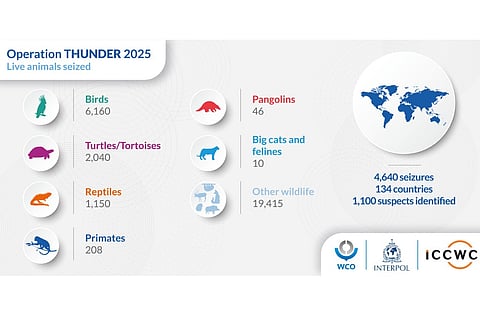 Operation Thunder 2025