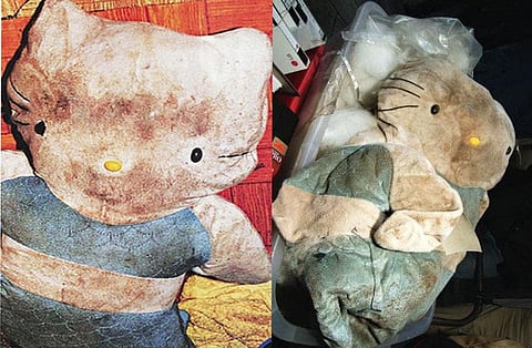 HELLO KITTY MURDER CASE