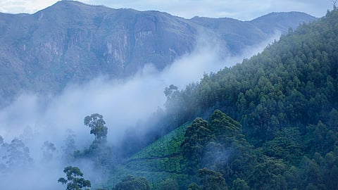 തണുത്തുവിറച്ച് മൂന്നാർ; താപനില പൂജ്യം ഡിഗ്രിയിൽ, പുൽമേടുകളിൽ മഞ്ഞുറഞ്ഞു | Idukki Weather Update