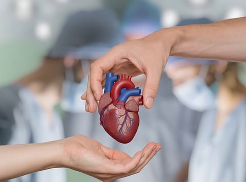 ട്രാൻസ്പ്ലാന്റ് ഇൻസ്റ്റിറ്റ്യൂട്ട്: 60 തസ്തികകൾ സൃഷ്ടിച്ച് ഉത്തരവിട്ടു