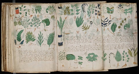 Voynich Manuscript