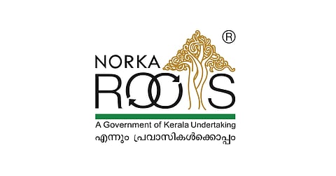 Norka Roots