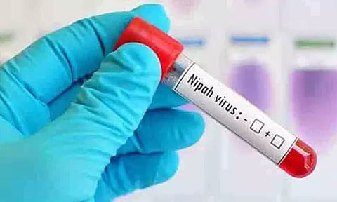 മലപ്പുറത്ത് മരിച്ച യുവാവിന് നിപ സ്ഥിരീകരിച്ചു | Nipah death in Malappura