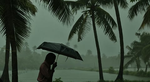 rain