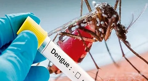 dengue fever